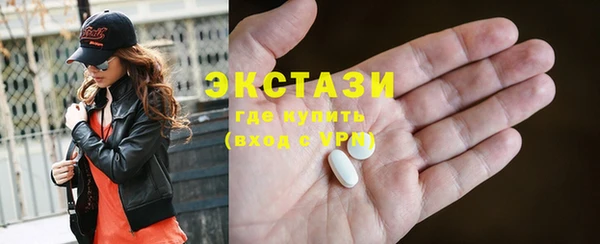 ECSTASY Богданович
