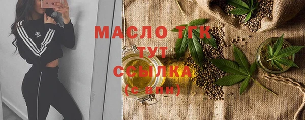 ECSTASY Богданович