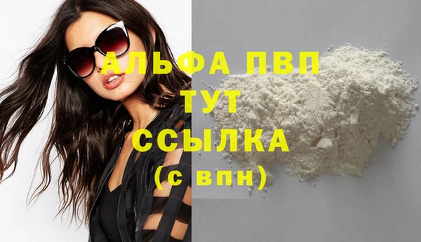 ECSTASY Богданович