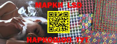 сатива Аргун