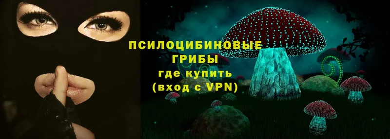 сколько стоит  blacksprut ONION  Галлюциногенные грибы MAGIC MUSHROOMS  Ирбит 