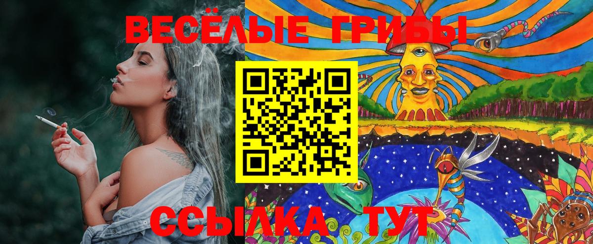 Ирбит  Галлюциногенные грибы Psilocybine cubensis  где продают наркотики  Вход с VPN 