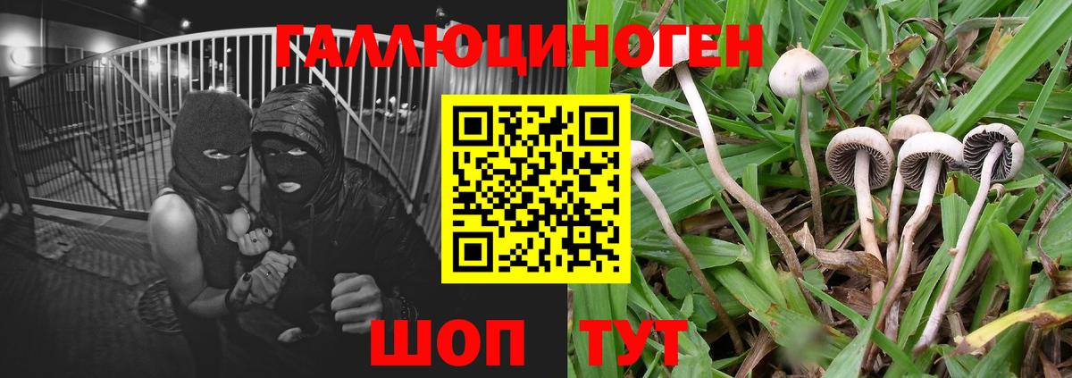 Галлюциногенные грибы GOLDEN TEACHER Ирбит